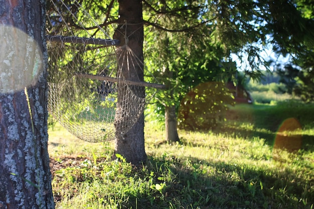 Hammock nature green