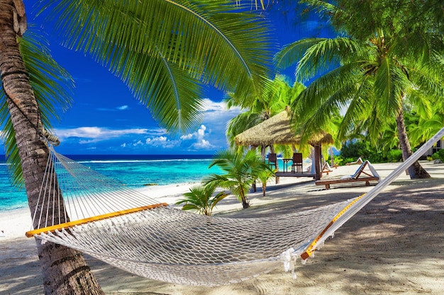 Hammock between palm trees on tropical beach of Rarotonga Cook Islands South Pacific