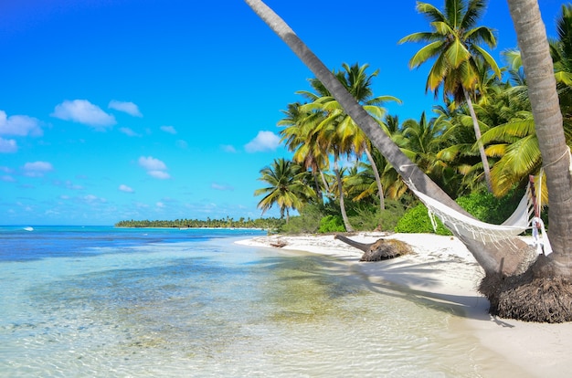 A hammock between palm trees on tropical beach.