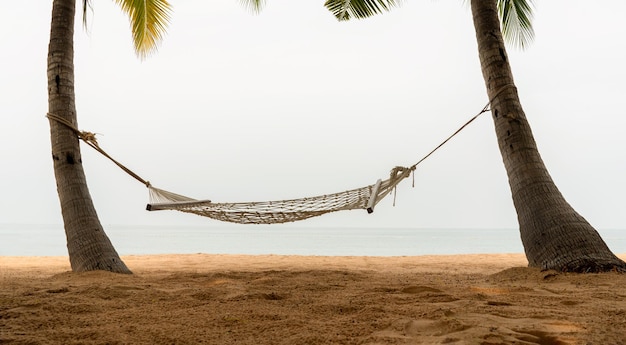 Foto amaca riposo rilassati tra due alberi di cocco su un'isola tropicale con una bellissima spiaggia al tramonto