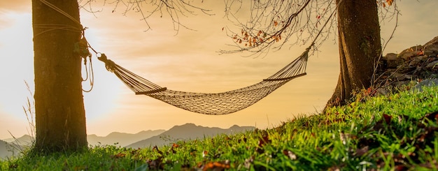 Hammock suspended between two trees