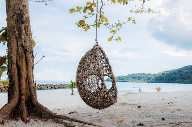 Hammock on tree at the sea.