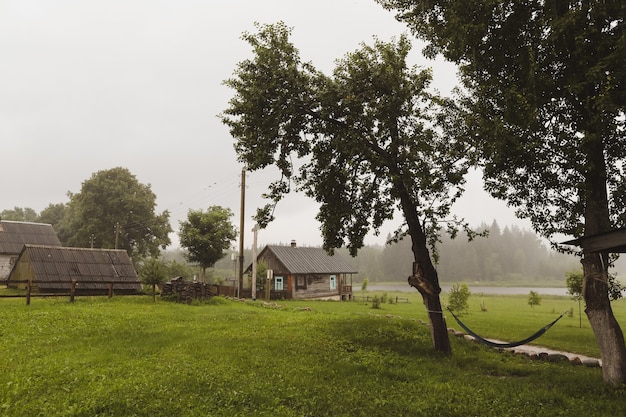 雨の田舎の夏の風景の背景の木々の間のハンモック