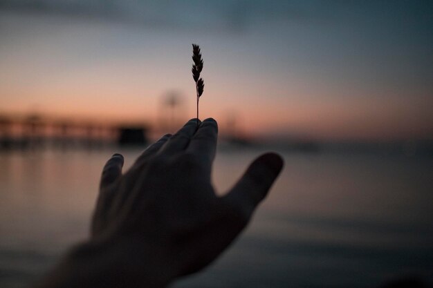 Foto la mano contro il cielo durante il tramonto