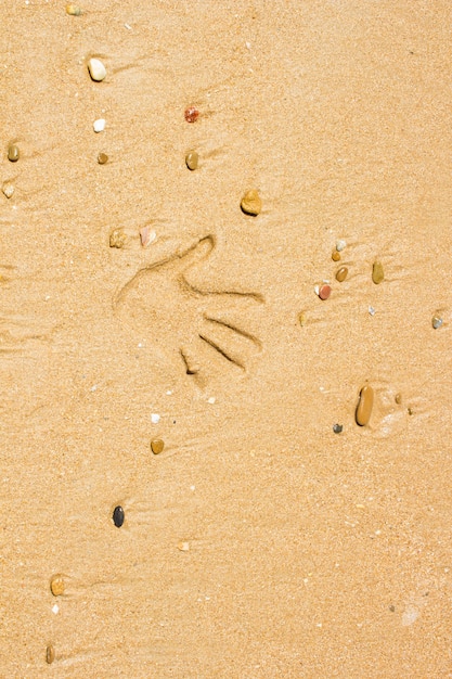 Foto mano sulla spiaggia