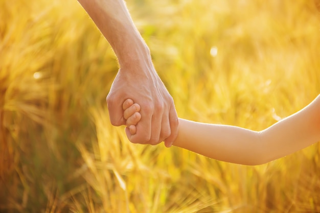 The hand of child and father on wheat field.