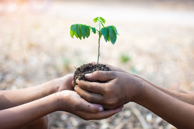 Mano dei bambini che tengono pianta e terreno con bokeh e natura sfondo