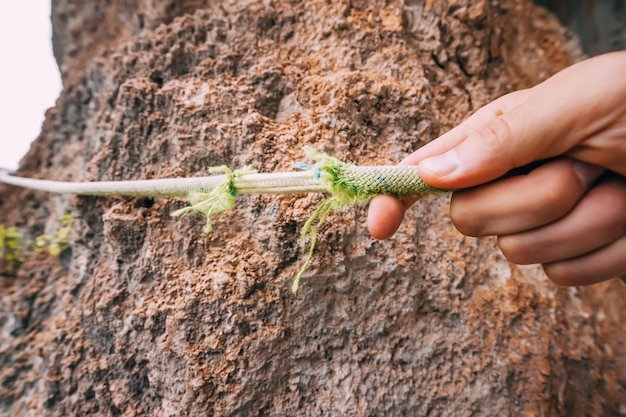 The hand of a climber or climber holds a frayed rope danger on the rock concept