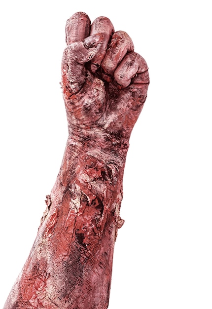 Hand covered in blood with clenched fist, zombie hand coming out of the ground, isolated white surface.