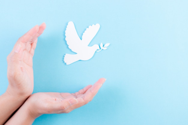 Photo hand covering a white dove into the air. white dove made from paper cut for peace day.