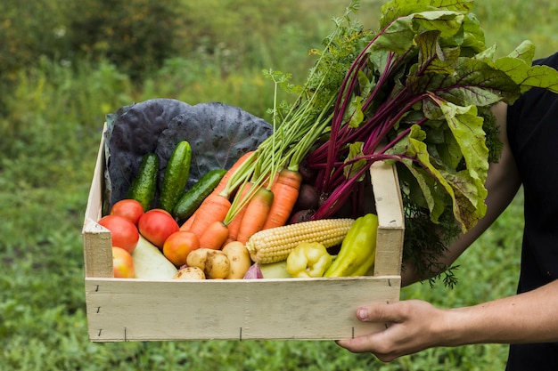 Foto hand die houten dooshoogtepunt van verse groenten houdt