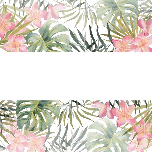 Hand drawing watercolor summer banner plumeria monstera palm leaves