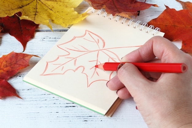 Hand drawing with pen and sketchbook surrounded by maple leaves