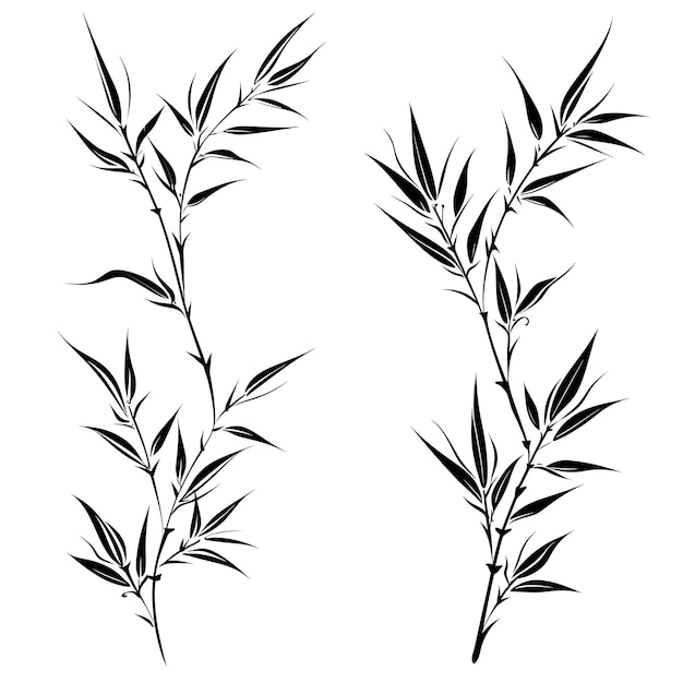 Photo hand drawn bamboo leaf outlines black color on white background contour outline minimalist simple