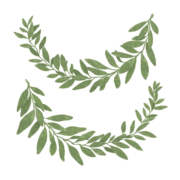 Photo hand drawn bay leaf wreath isolated on white backgroundpastel texture