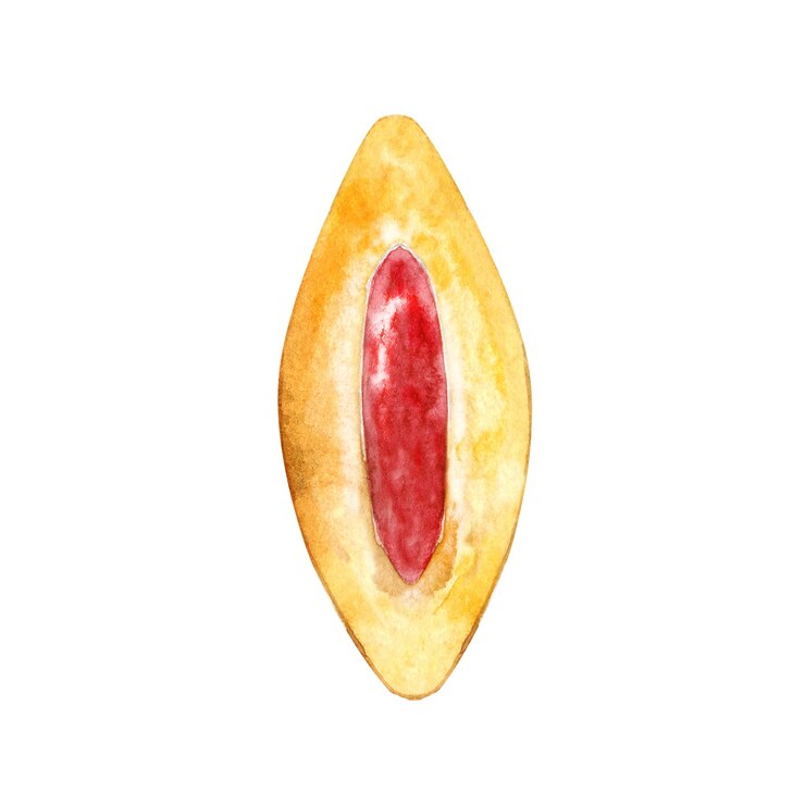 Photo ジャムと手描きのクッキー