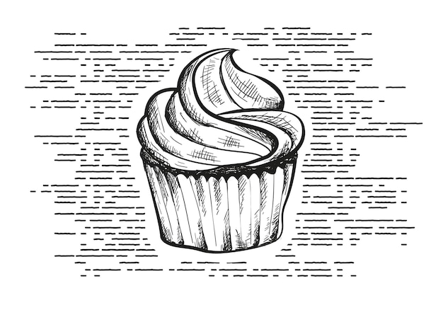 hand-drawn cupcake with creamy frosting illustration