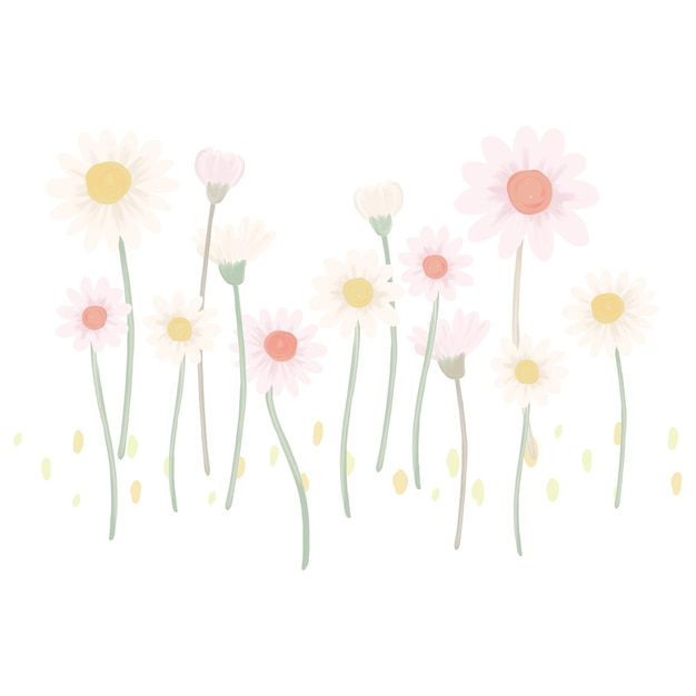손으로 그린 데이지 패턴 투명 png