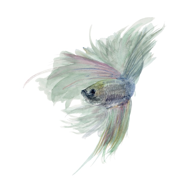 白い背景に分離された手描きの魚