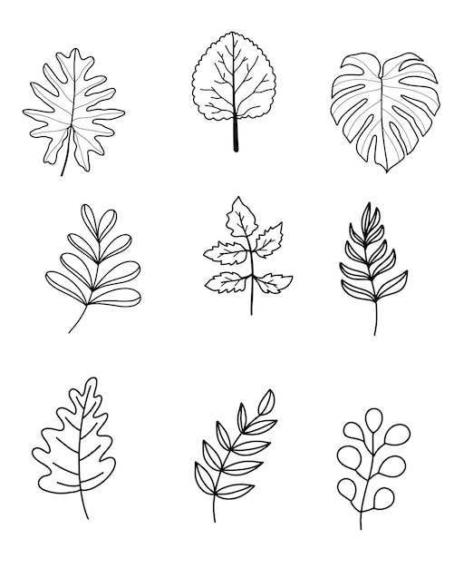 Photo hand drawn leaf line art collectionvector illustration