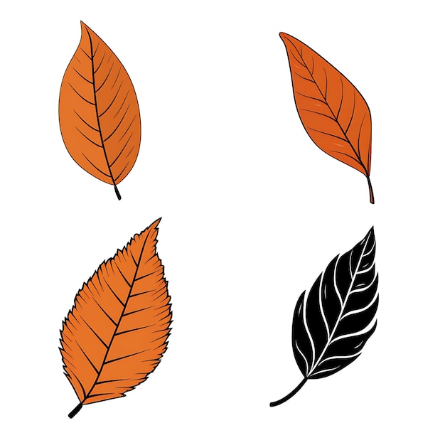 Hand Drawn Orange Leaf Outlines Black Color on White Background Contour outline minimalist simple