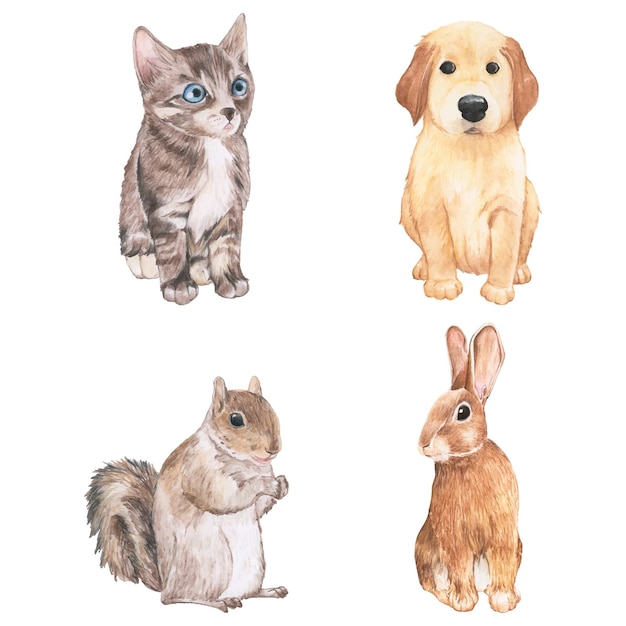 손으로 그린 애완동물 png 세트