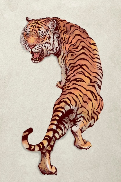 Hand drawn roaring tiger illustration