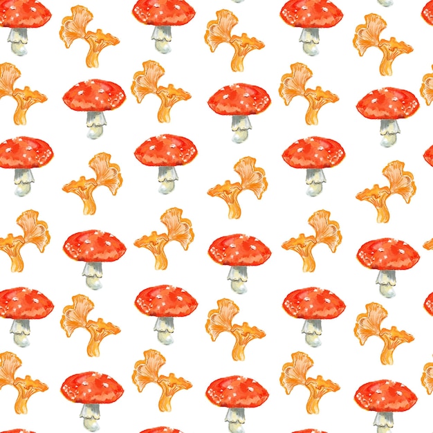 hand drawn seamless pattern with coloredfly agarics and chanterelles mushrooms seamless pattern wit