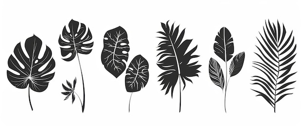 Photo hand drawn tropical leaves modern set multicolor black and white drawing contour style ideal for printing branding and logo designs