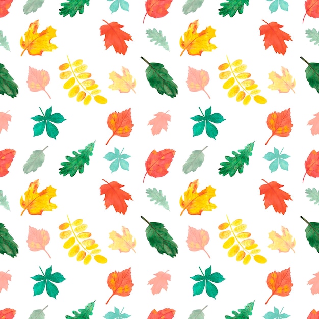 Hand drawn watercolor autumn leaves seamless pattern on white background Can be used for textile