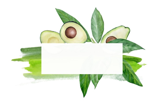 Cornice di avocado dell'acquerello disegnato a mano