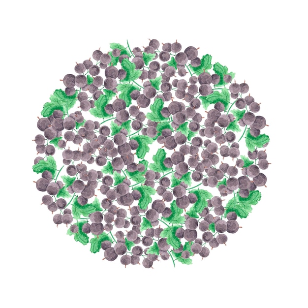 색 바탕에 분리 된 초록색 잎과 함께 손으로 그려진 수채화 검은 수박 둥근 구성 카드 라벨 및 기타 인쇄 제품에 사용할 수 있습니다.
