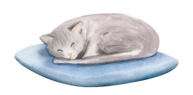 Hand drawn watercolor cat is lying on a pillow