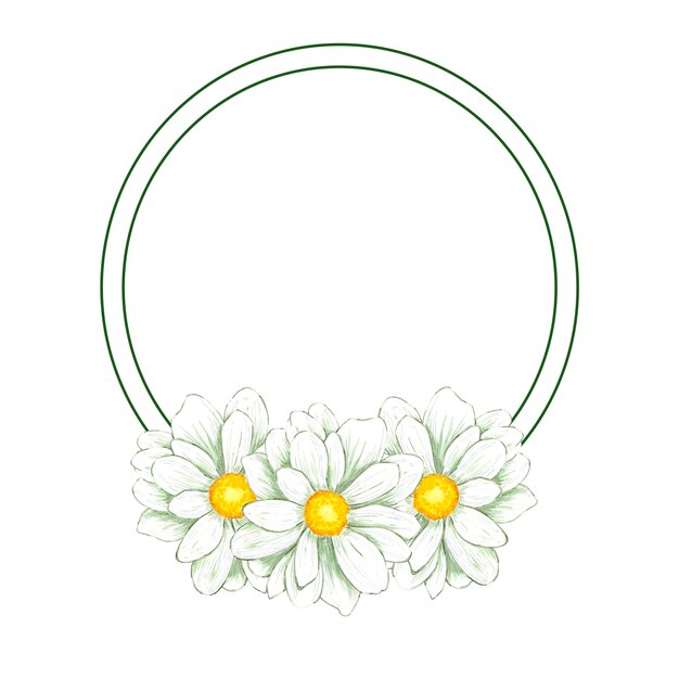 Photo hand drawn watercolor chamomile frame isolated on white background can be used for invitation postcard poster decoration and other printed products