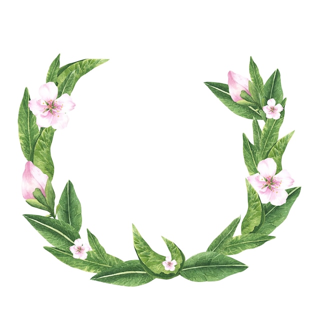 Hand drawn watercolor cherry blossom wreath with flowers leaves and branches