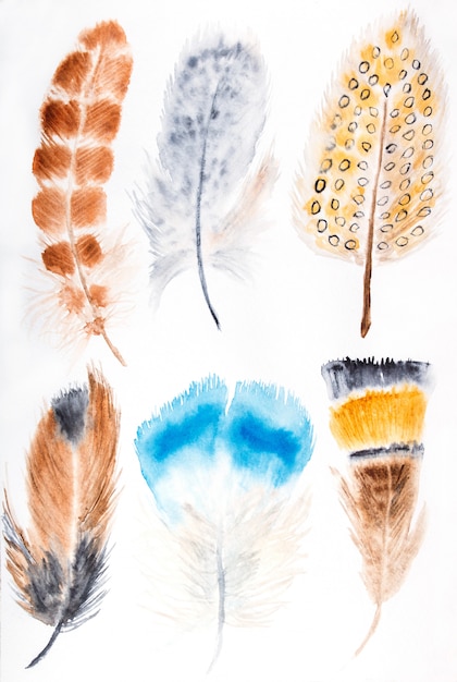 Hand drawn watercolor feather set. isolated on white. 