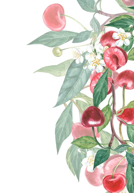 Hand-drawn watercolor flowers of cherry and leaves