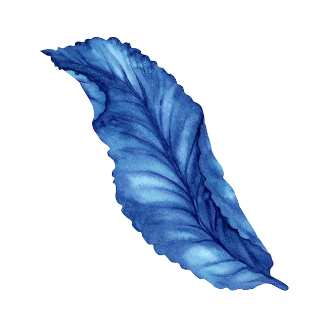 Hand drawn watercolor illustration of abstract blue fantasy leaf