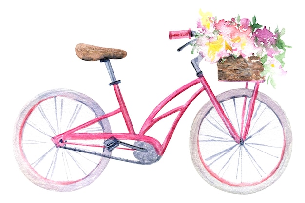 Hand Drawn Watercolor Illustration Bicycle with Flowers in a Basket