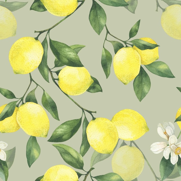 Hand drawn watercolor lemon illustration Seamless pattern