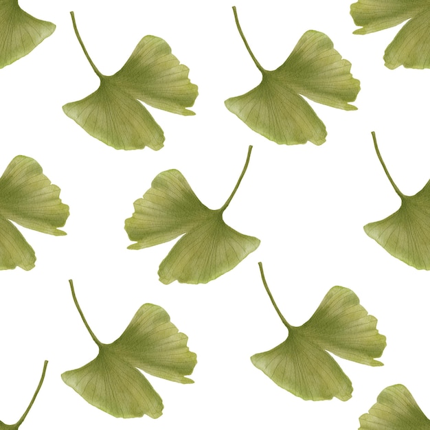 Hand drawn watercolor painting of ginkgo leaf seamless pattern