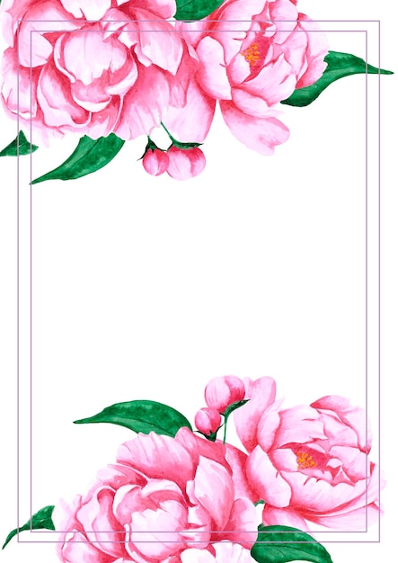 Hand drawn watercolor pink peony flowers bouquet Isolated on white background Scrapbook post card banner lable poster