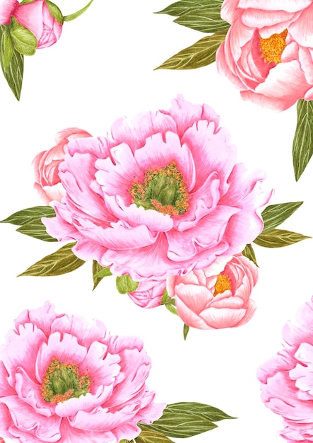 Hand drawn watercolor pink peony flowers bouquet Isolated on white background Scrapbook post card banner lable poster