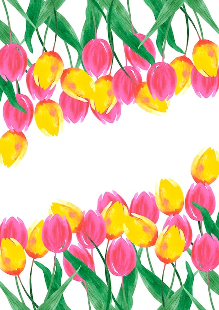 Hand drawn watercolor pink and yellow tulips poster isolated on white background Can be used for poster post card wedding invitation album