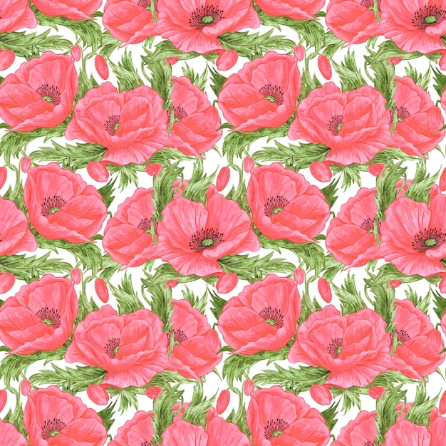 hand drawn watercolor red poppy flowers with green leaves seamless pattern isolated on white background can be used for textile fabric and other printed products