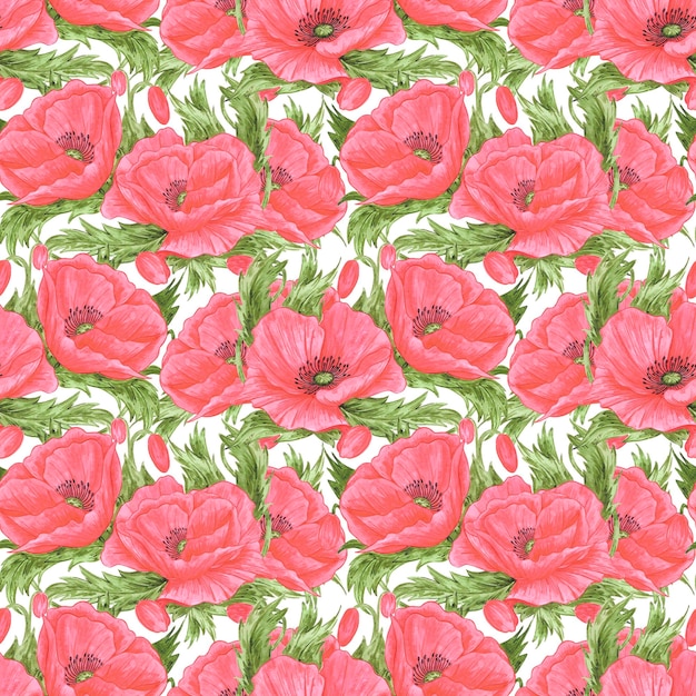 Hand drawn watercolor red poppy flowers with green leaves seamless pattern isolated on white background Can be used for textile fabric and other printed products