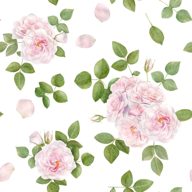 Hand drawn watercolor seamless pattern with pink rose flowers