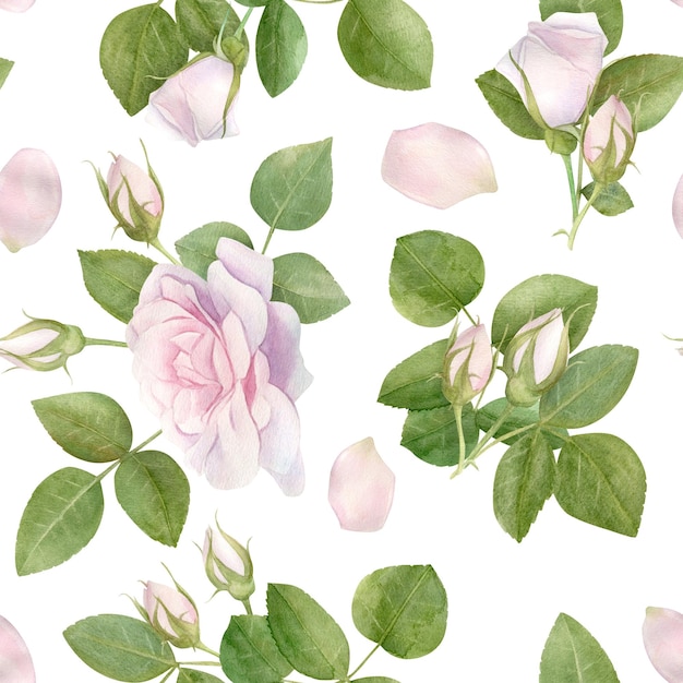 Hand drawn watercolor seamless pattern with pink rose flowers