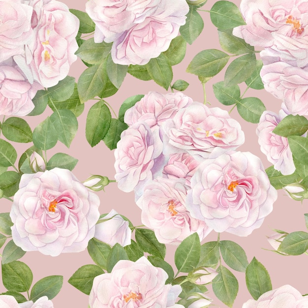 Hand drawn watercolor seamless pattern with pink rose flowers