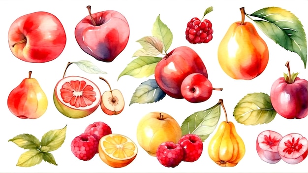 Hand drawn watercolor set of fruit